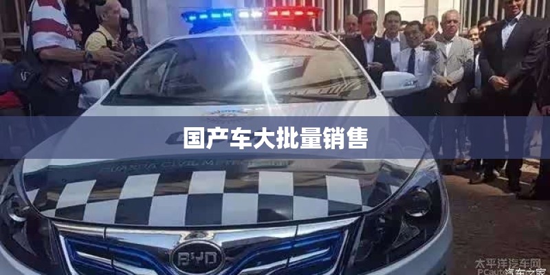 国产车大批量销售