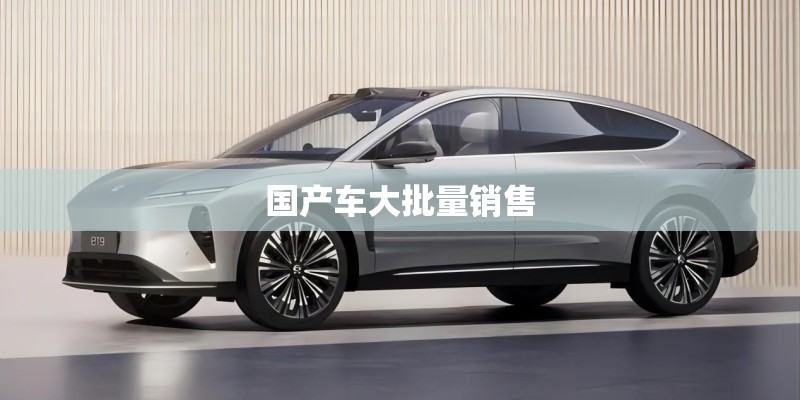 国产车大批量销售
