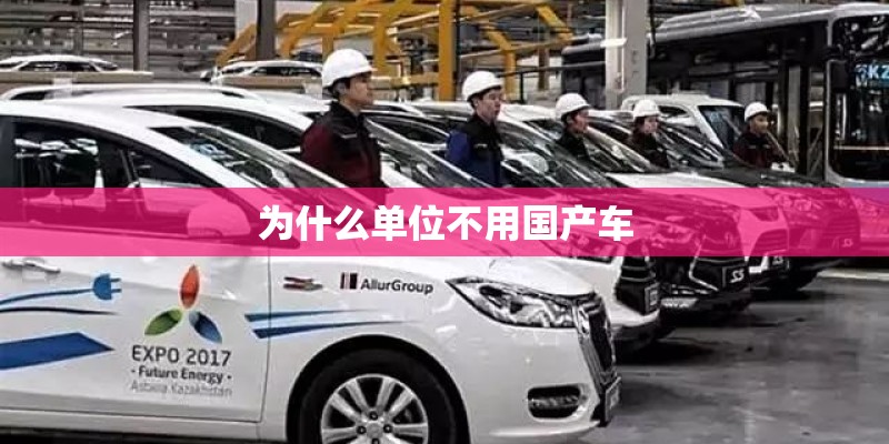 国产车大批量销售