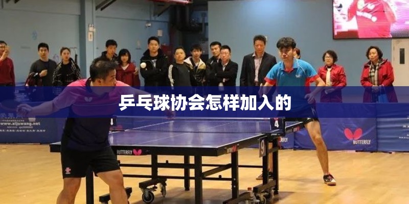 乒乓球协会怎样加入的
