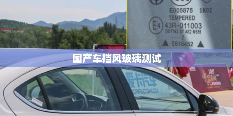 国产车挡风玻璃测试