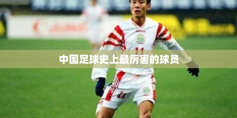 国产车挡风玻璃测试
