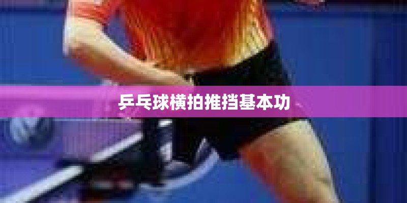 乒乓球横拍推挡基本功