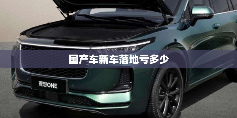 国产车新车落地亏多少