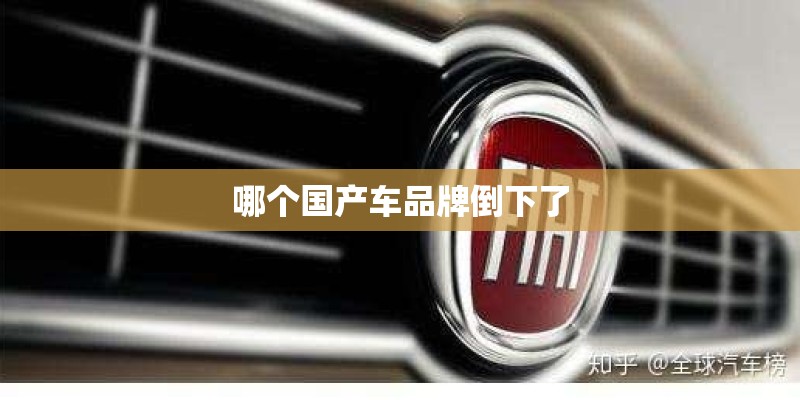 哪个国产车品牌倒下了