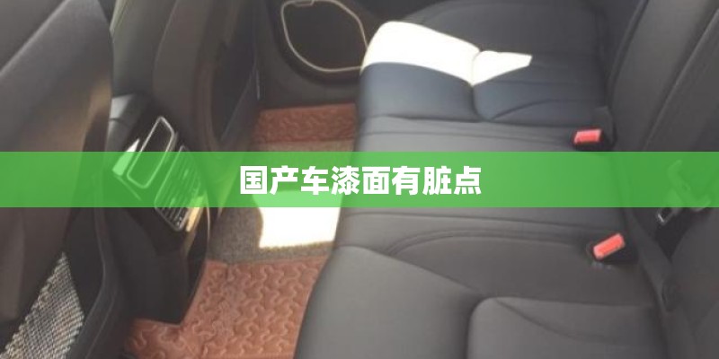 国产车漆面有脏点
