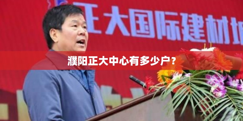 濮阳正大中心有多少户？