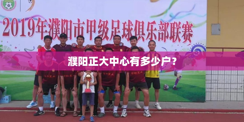 濮阳正大中心有多少户？