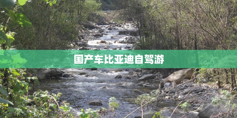 国产车比亚迪自驾游