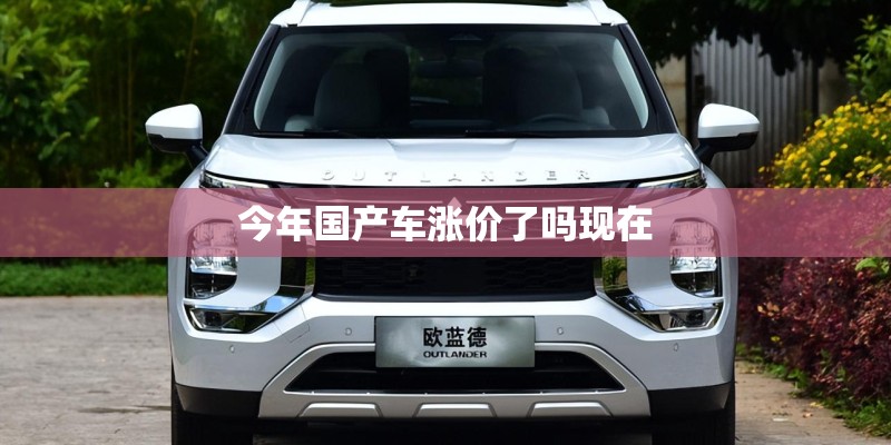 今年国产车涨价了吗现在
