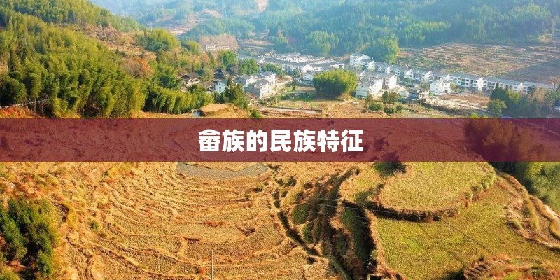 畲族的民族特征