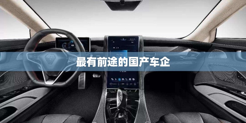 最有前途的国产车企