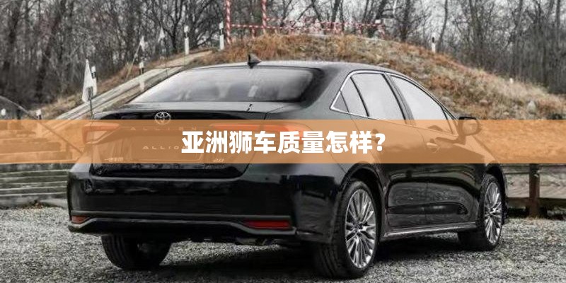 亚洲狮车质量怎样？