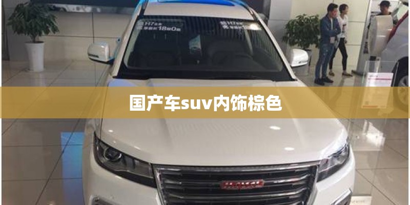 国产车suv内饰棕色
