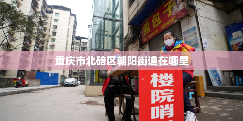 求苏联款的汽车模型生产厂家