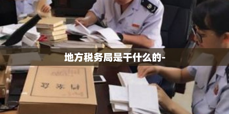 地方税务局是干什么的-