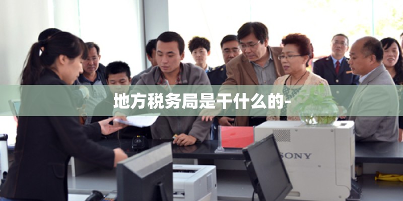 地方税务局是干什么的-