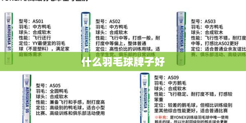 地方税务局是干什么的-