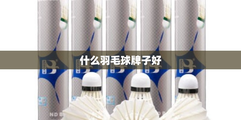 什么羽毛球牌子好
