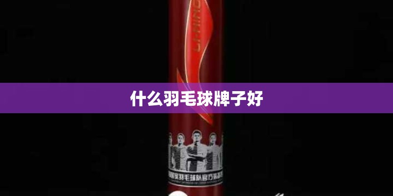 什么羽毛球牌子好