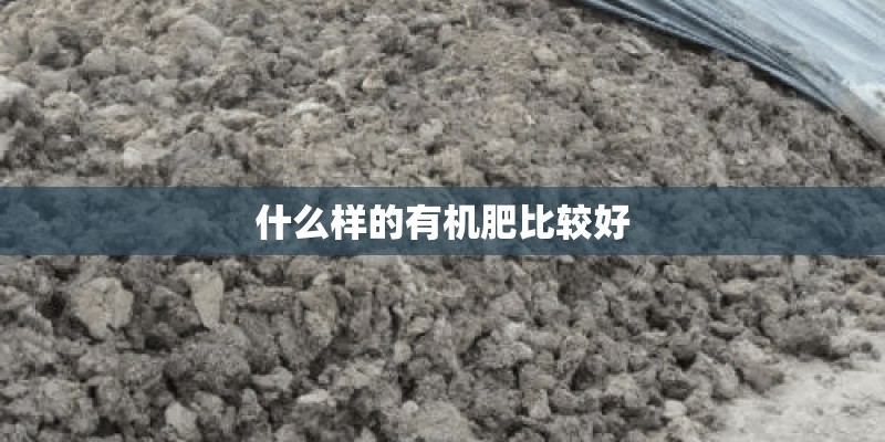 什么样的有机肥比较好