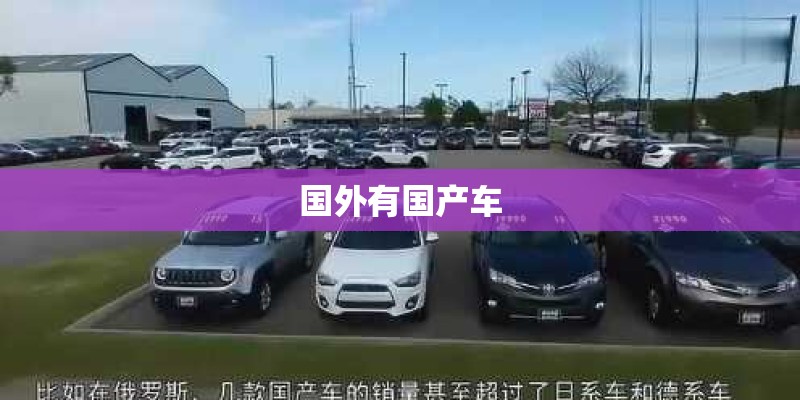国外有国产车