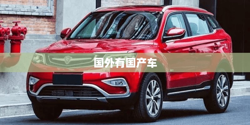 国外有国产车