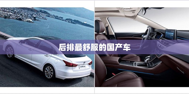 后排最舒服的国产车