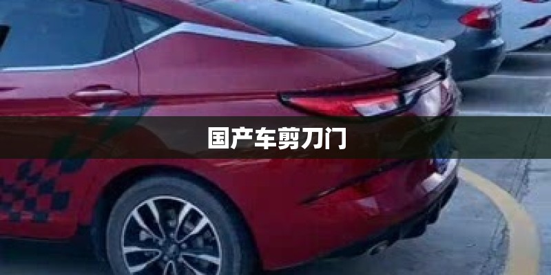 国产车剪刀门
