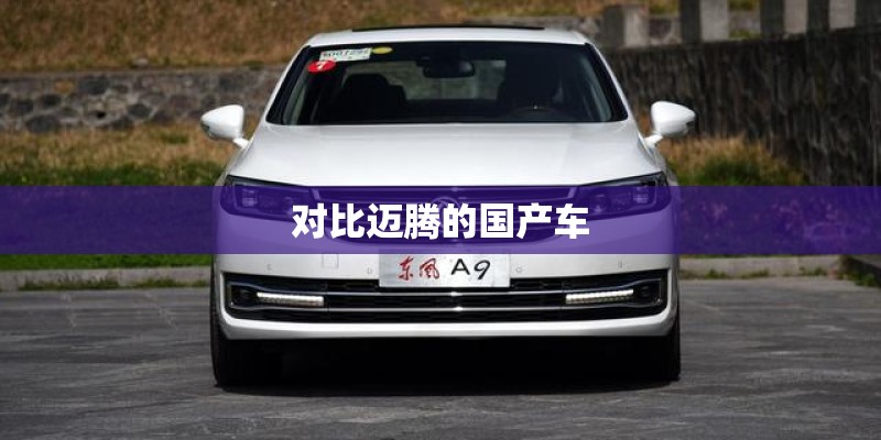樊振东已连夺三场世界赛事冠军头衔