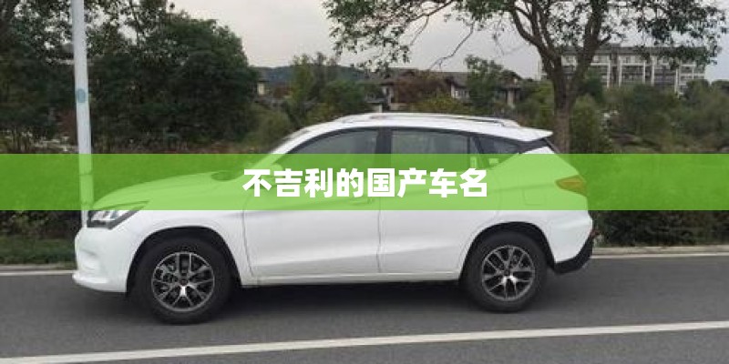 不吉利的国产车名