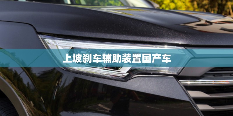 上坡刹车辅助装置国产车