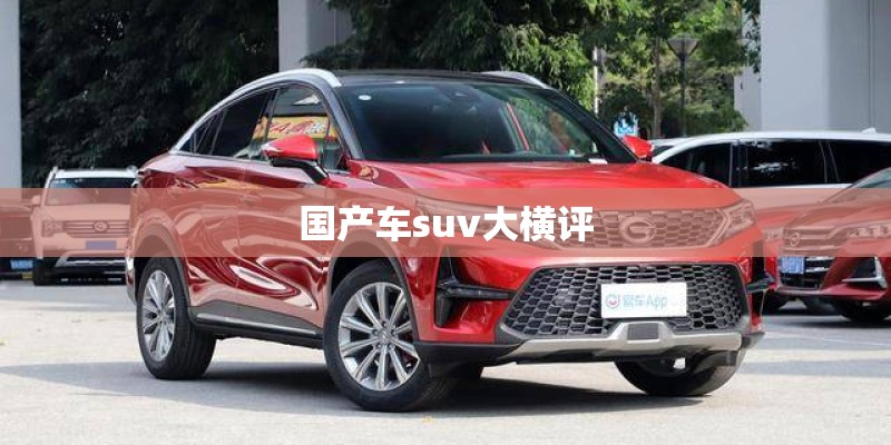 国产车suv大横评