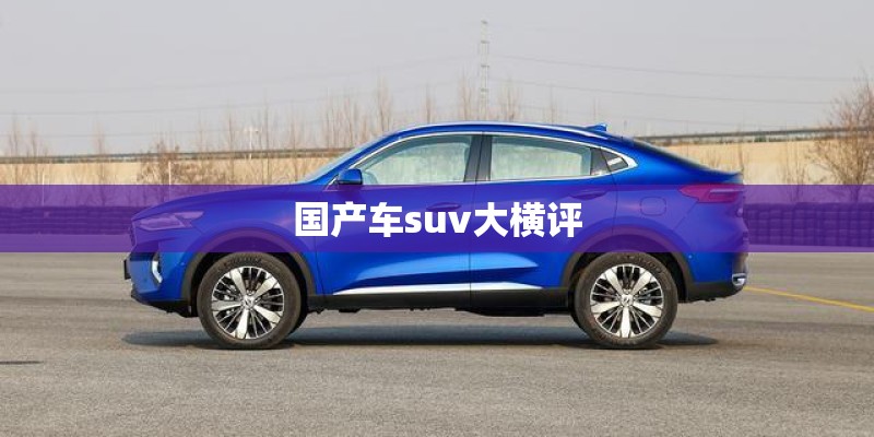 国产车suv大横评