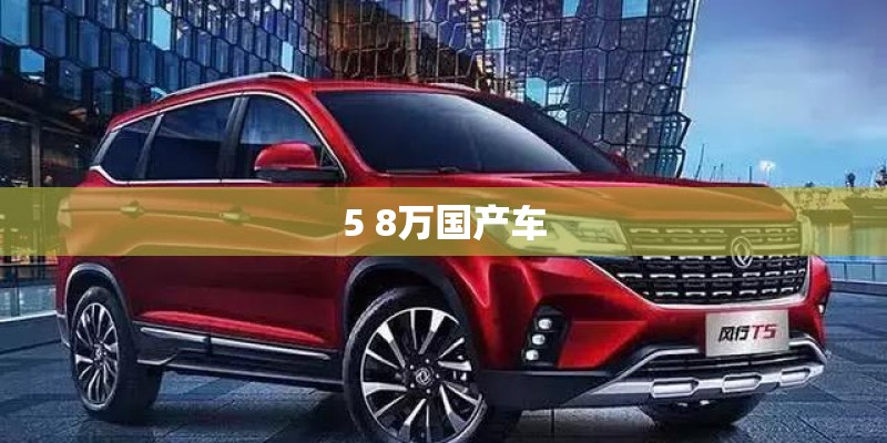5 8万国产车