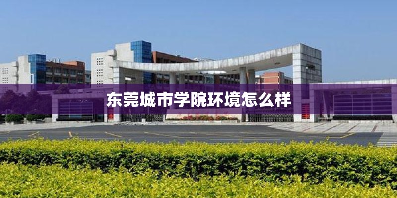 东莞城市学院环境怎么样