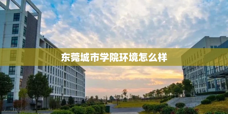 东莞城市学院环境怎么样