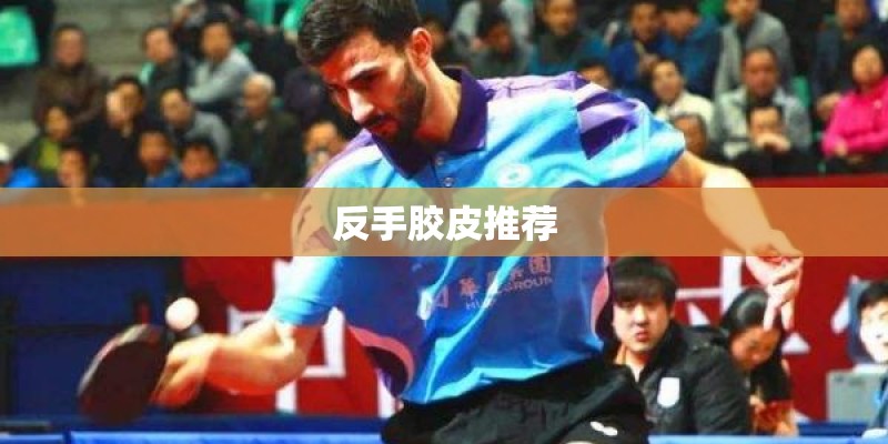 反手胶皮推荐