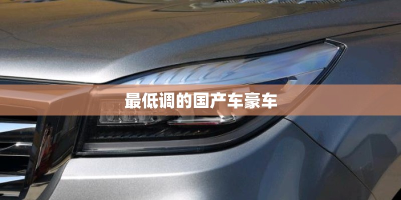 最低调的国产车豪车