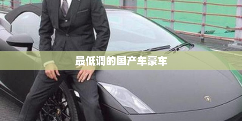 最低调的国产车豪车