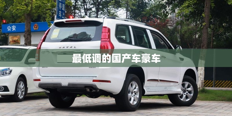 最低调的国产车豪车