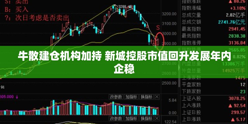 牛散建仓机构加持 新城控股市值回升发展年内企稳