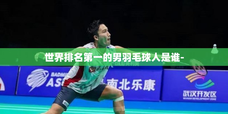 世界排名第一的男羽毛球人是谁-