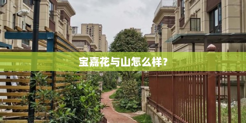 宝嘉花与山怎么样？