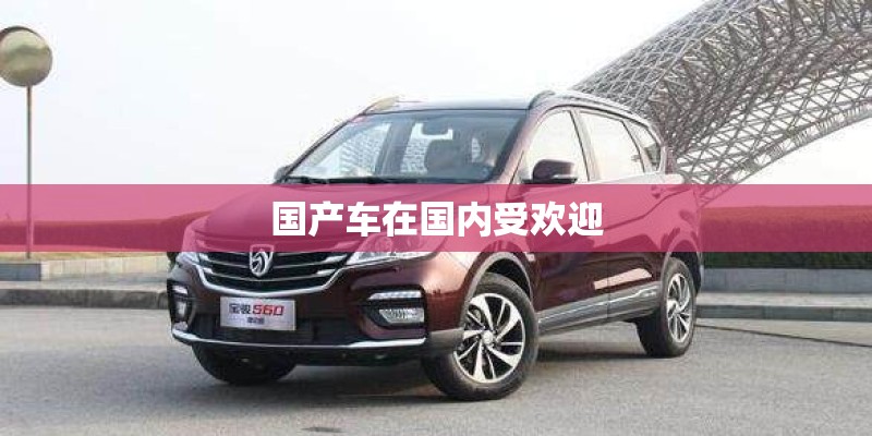国产车在国内受欢迎