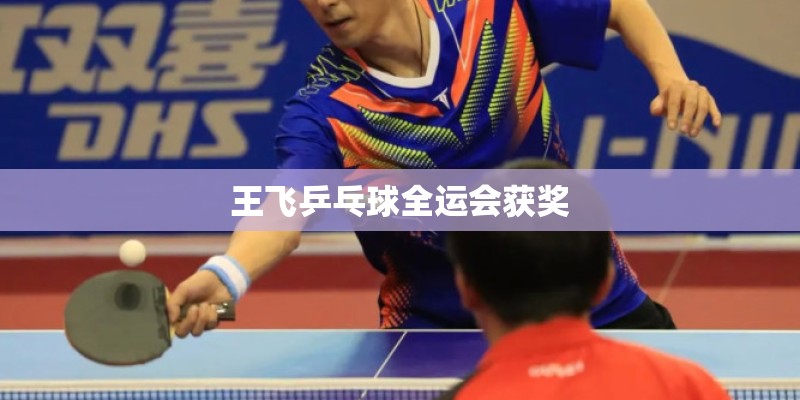 王飞乒乓球全运会获奖