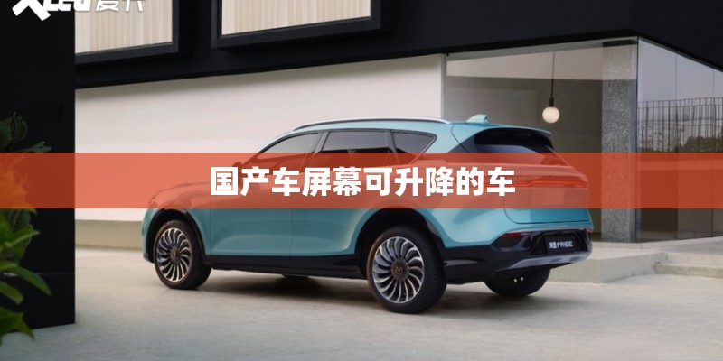 国产车屏幕可升降的车
