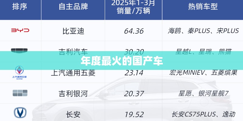 年度最火的国产车