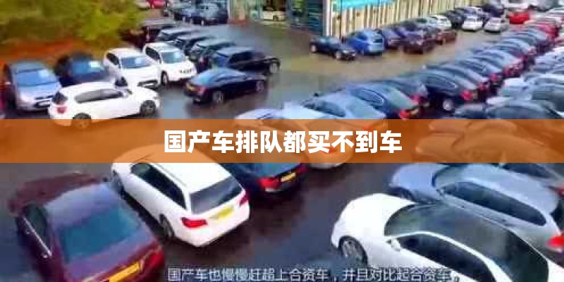 国产车排队都买不到车