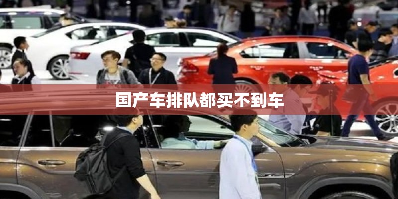 国产车起步动力快吗